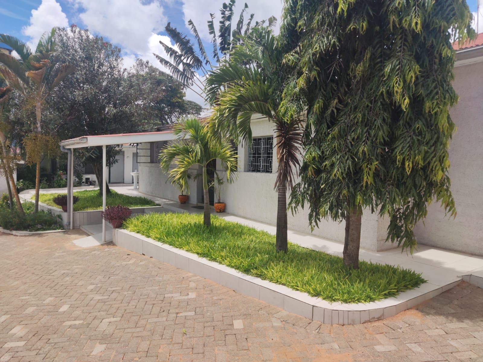 garden